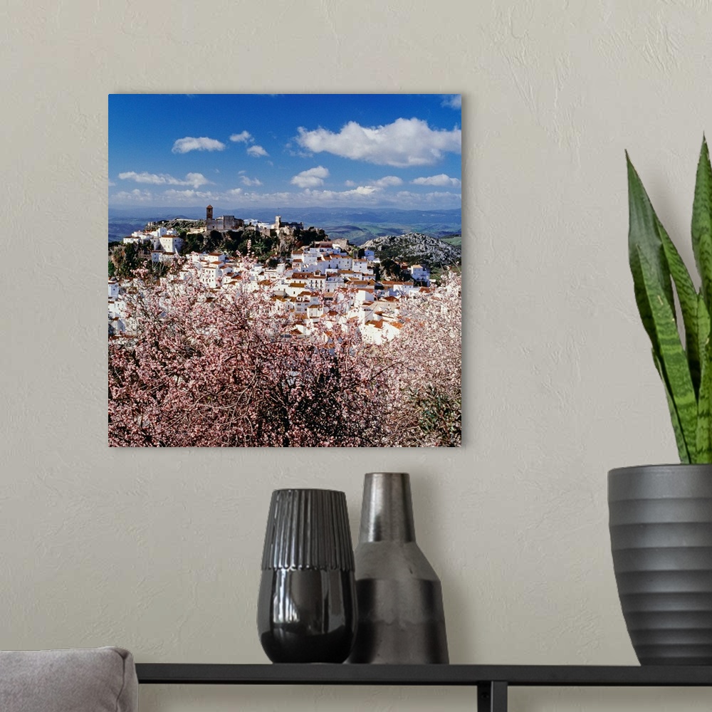 A modern room featuring Spain, Andalusia, Casares, Pueblos Blancos, Casares town, almond trees