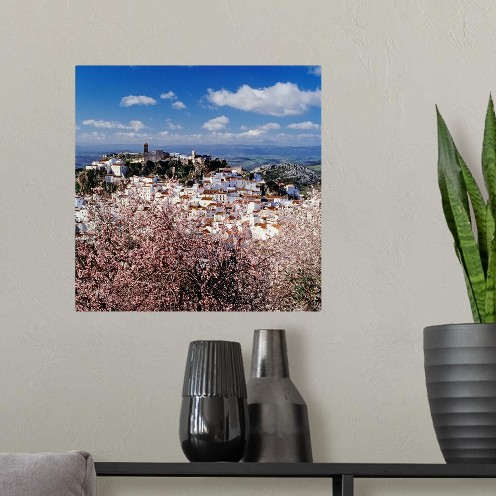 A modern room featuring Spain, Andalusia, Casares, Pueblos Blancos, Casares town, almond trees