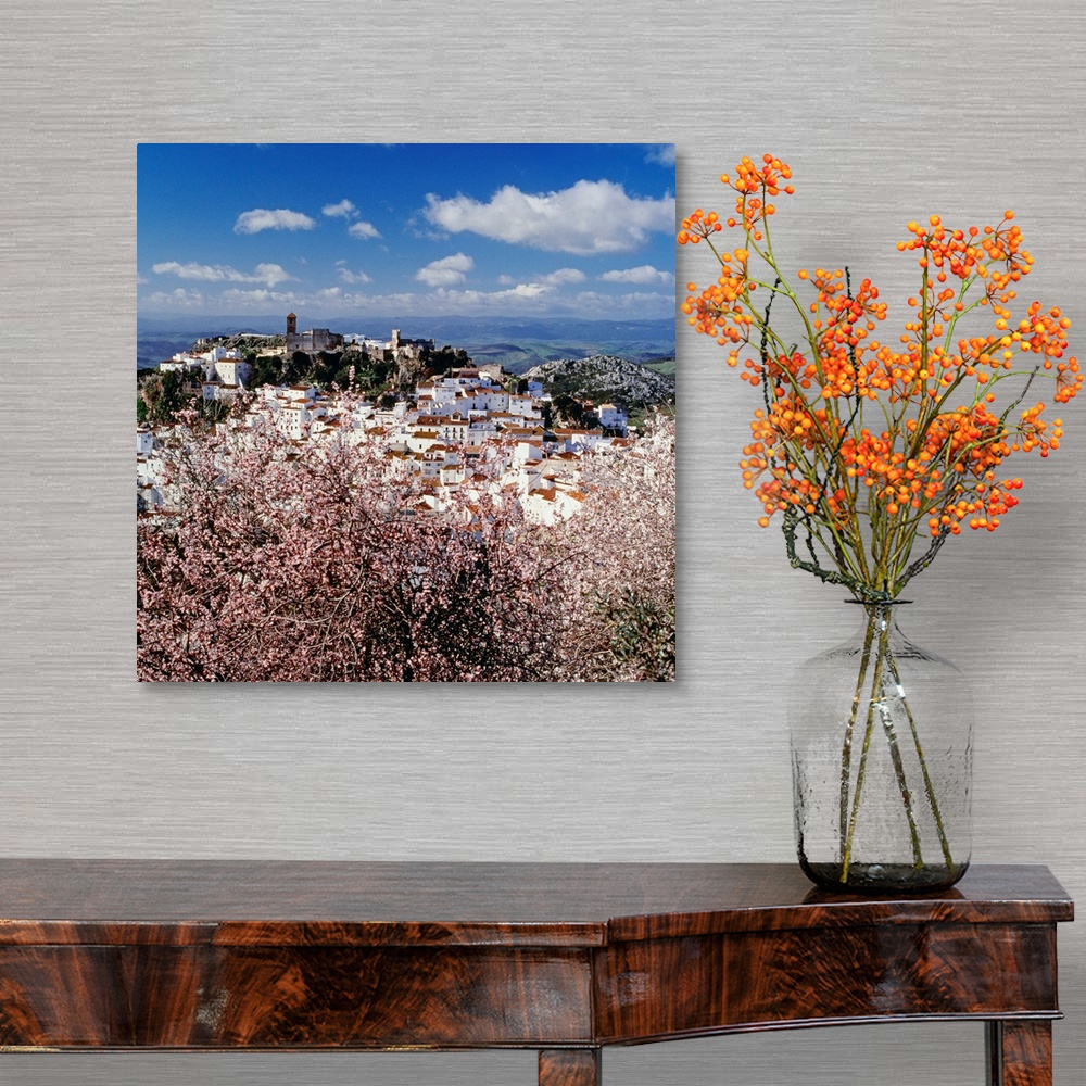 A traditional room featuring Spain, Andalusia, Casares, Pueblos Blancos, Casares town, almond trees