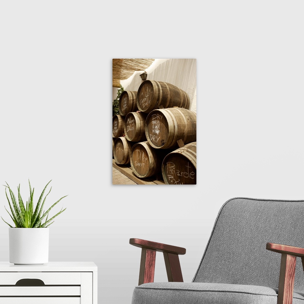A modern room featuring Spain, Andalusia, Ronda, Wine barrels