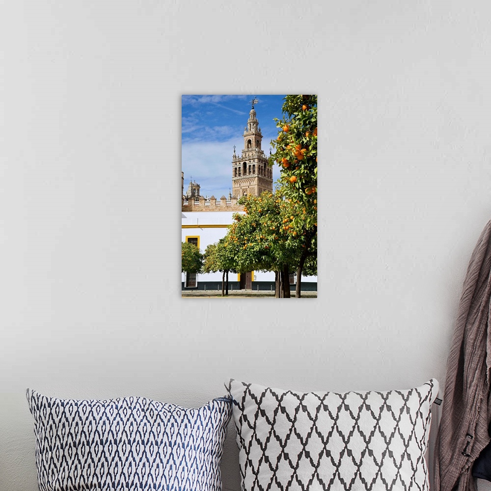 A bohemian room featuring Spain, Andalusia, Seville, Giralda Tower with orange trees