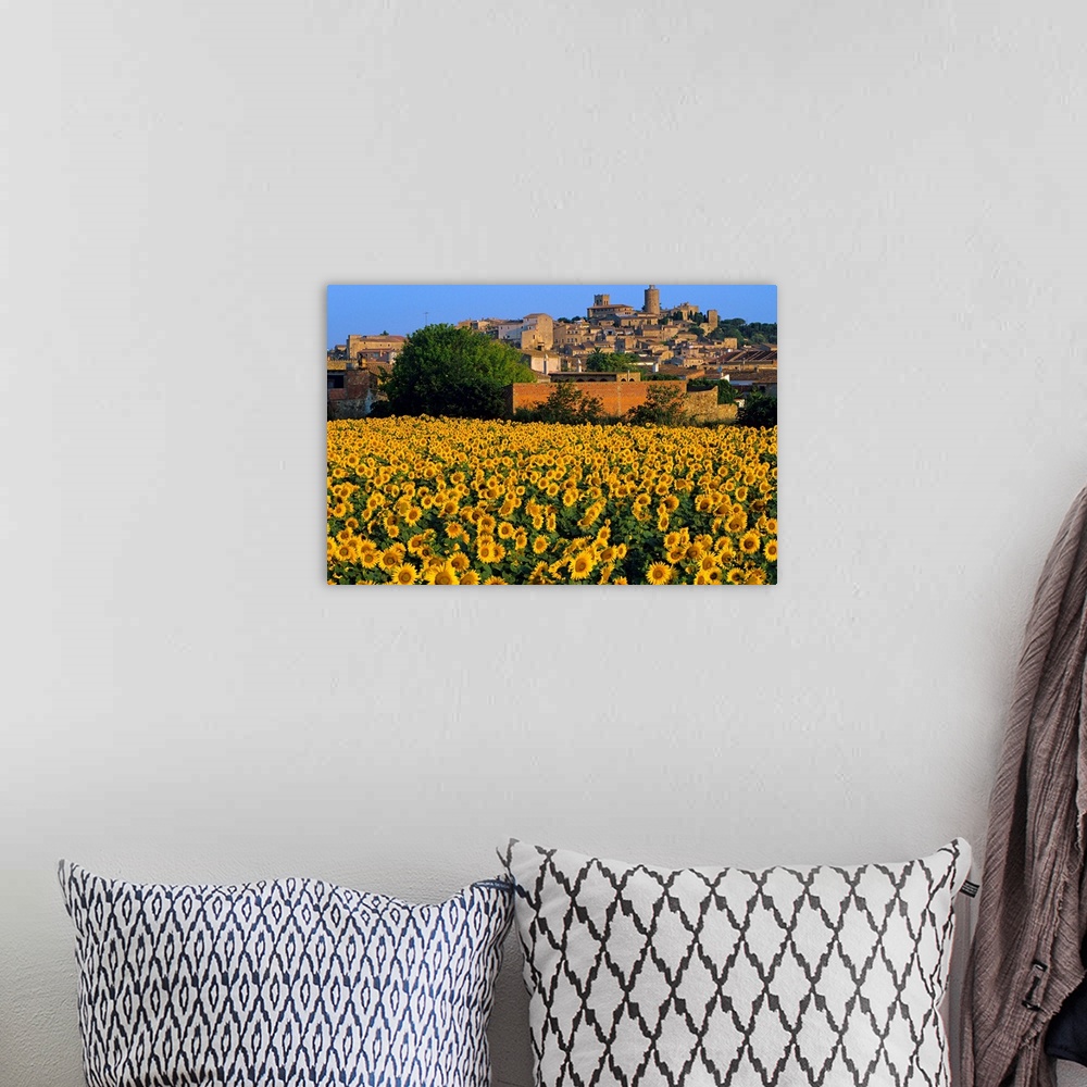 A bohemian room featuring Spain, Catalonia, Costa Brava, Pals, and sunflower field