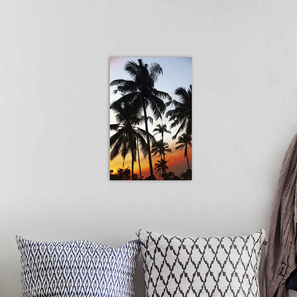 A bohemian room featuring Sri Lanka, Eastern Province, Nilaveli, Palm trees at sunset