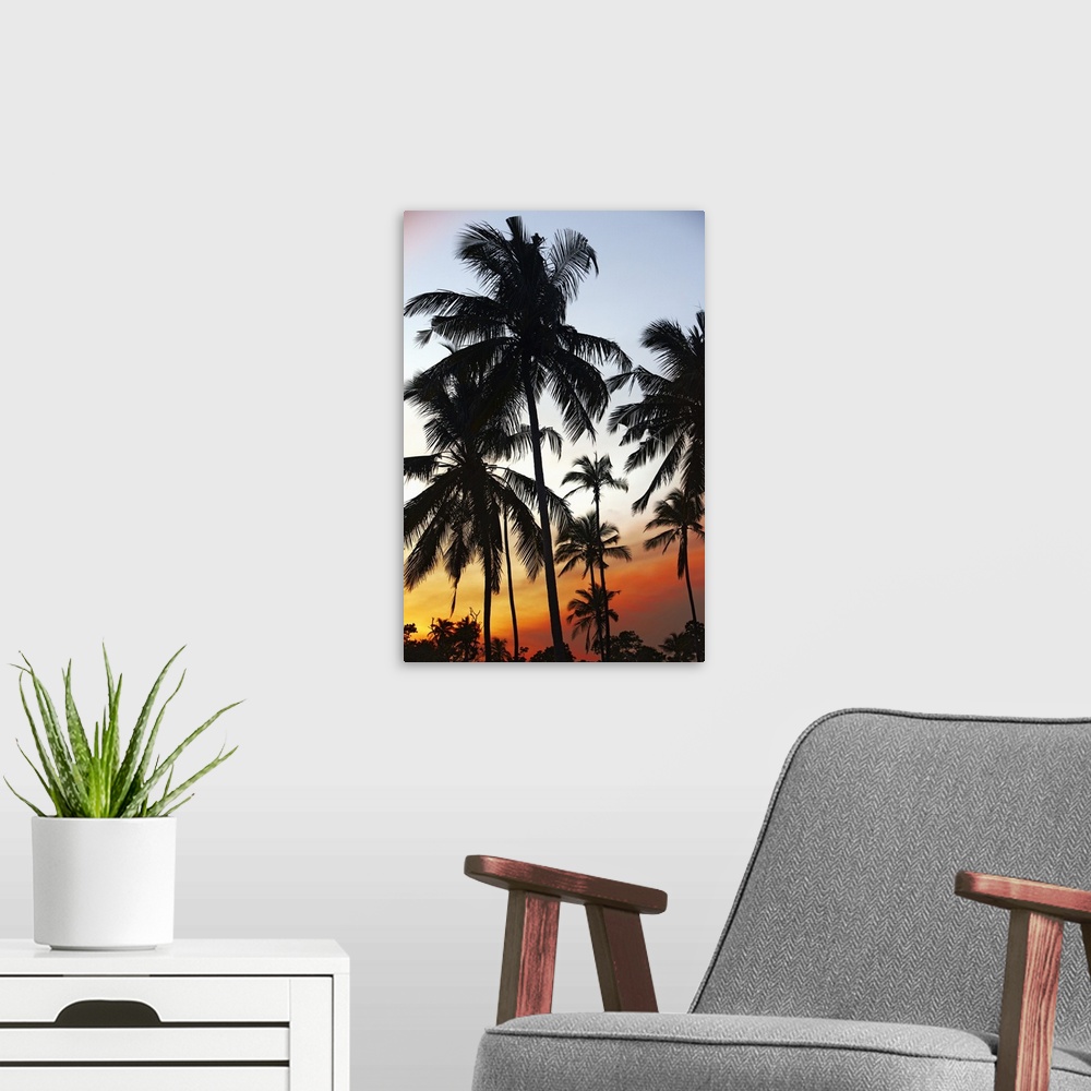 A modern room featuring Sri Lanka, Eastern Province, Nilaveli, Palm trees at sunset