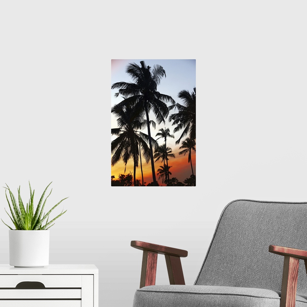 A modern room featuring Sri Lanka, Eastern Province, Nilaveli, Palm trees at sunset