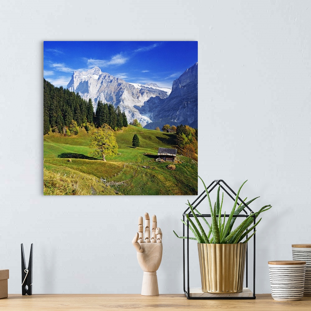A bohemian room featuring Switzerland, Bern, Berner Oberland, Grindelwald, Countryside and Wetterhorn in the background