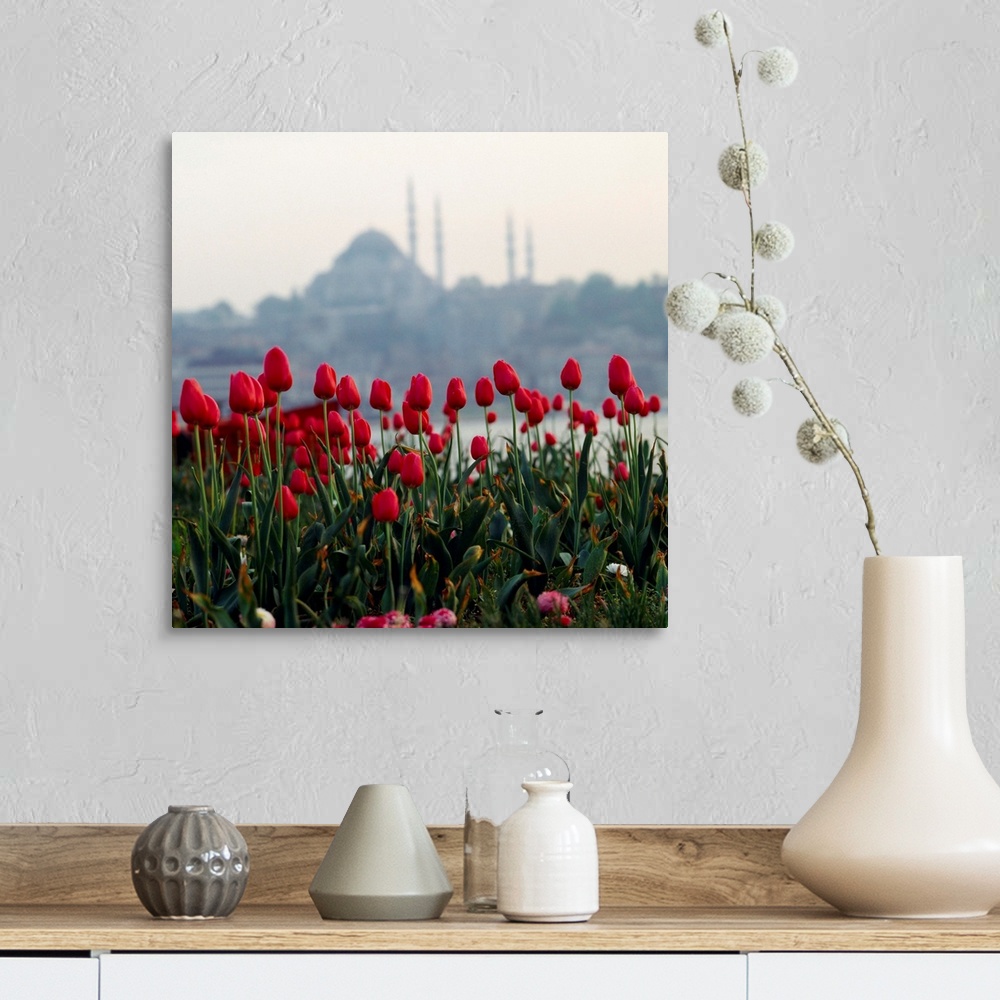 A farmhouse room featuring Turkey, Istanbul, Tulips and Suleymaniye mosque in background