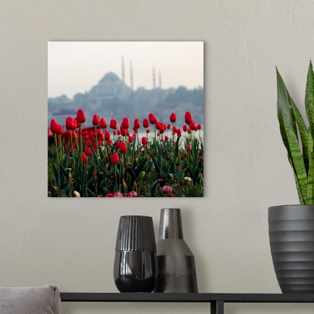 A modern room featuring Turkey, Istanbul, Tulips and Suleymaniye mosque in background