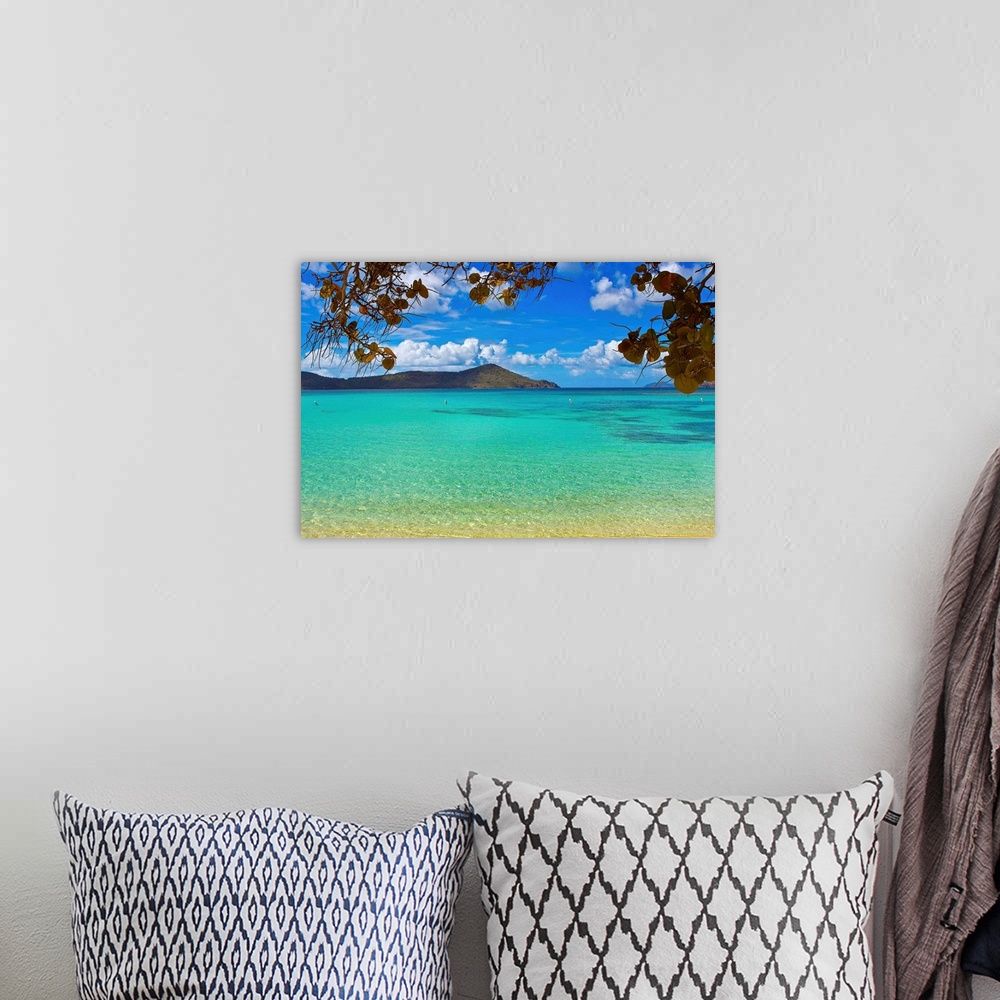 A bohemian room featuring U.S. Virgin Islands, St. Thomas, Smith Beach, view of Thatch cay.