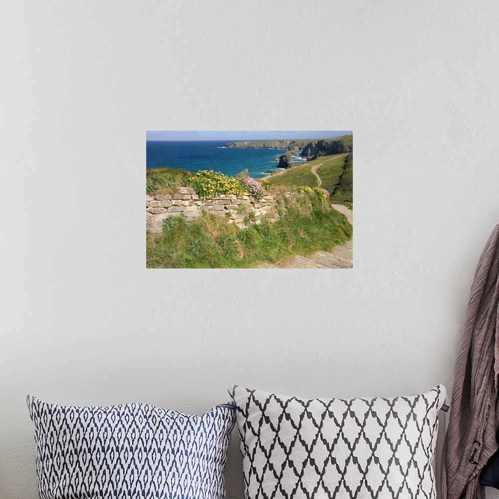 A bohemian room featuring UK, England, Cornwall, Bedruthan Steps and wildflowers on the South West Coast Path