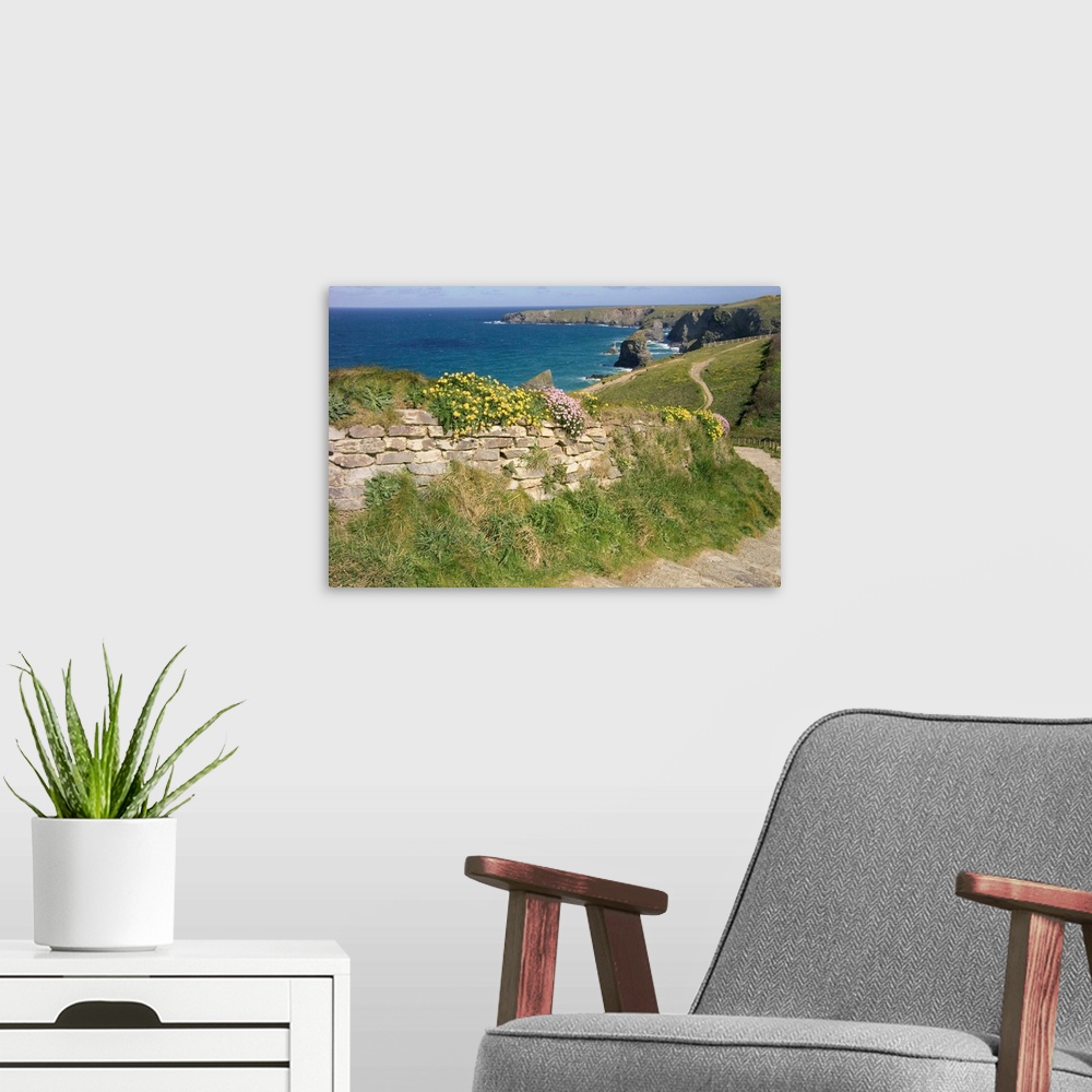 A modern room featuring UK, England, Cornwall, Bedruthan Steps and wildflowers on the South West Coast Path