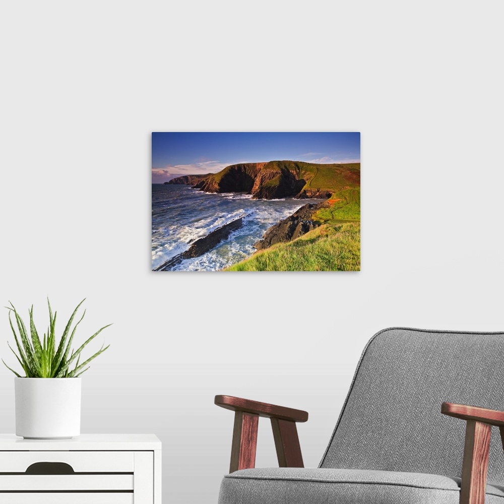 A modern room featuring UK, Wales, Pembrokeshire, Cliffs along the coast at Ceibwr Bay