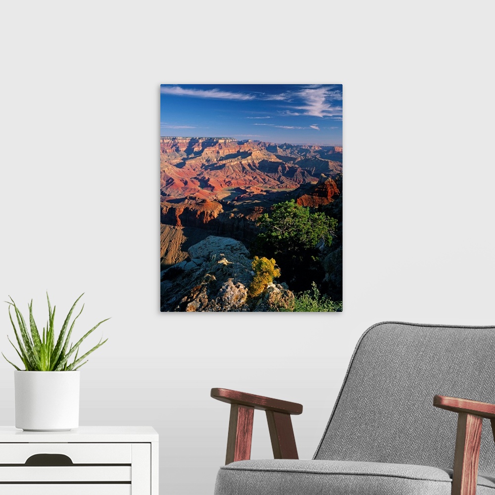 A modern room featuring United States, Arizona, Grand Canyon, Grand Canyon National Park, view from Lipan Point