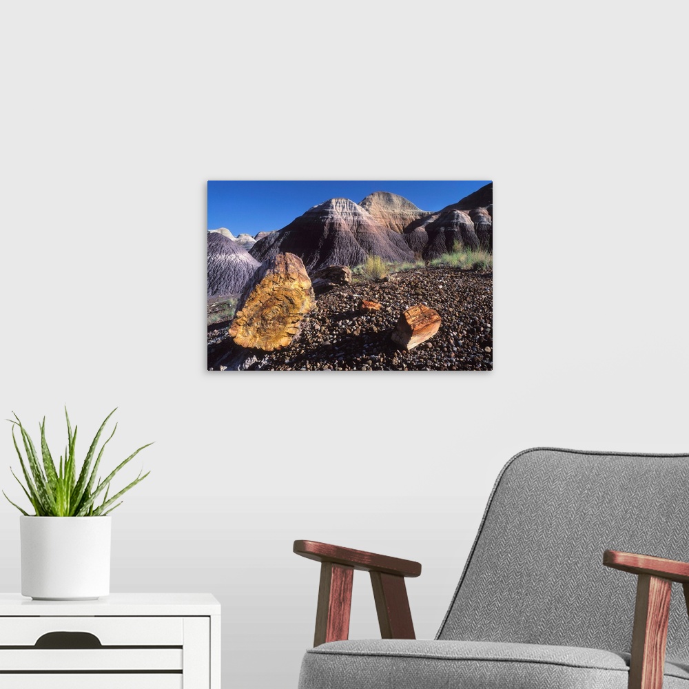 A modern room featuring United States, Arizona, Petrified Forest National Park