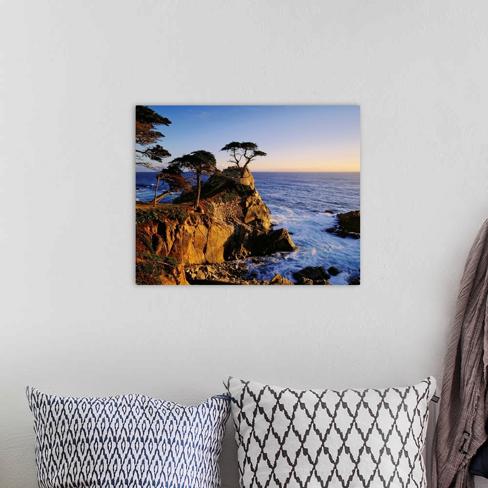 A bohemian room featuring United States, California, Carmel Coast near Monterey Bay