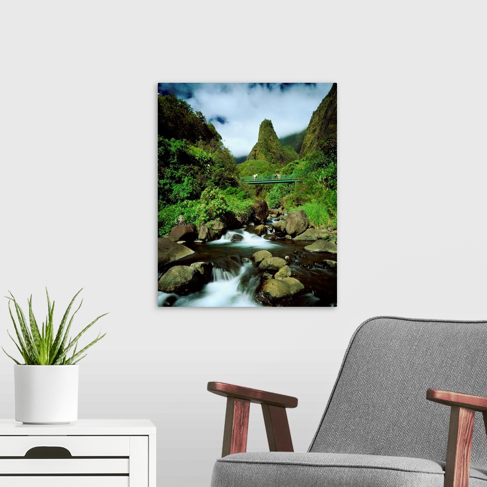 A modern room featuring United States, Hawaii, Maui island, Iao Valley State Park