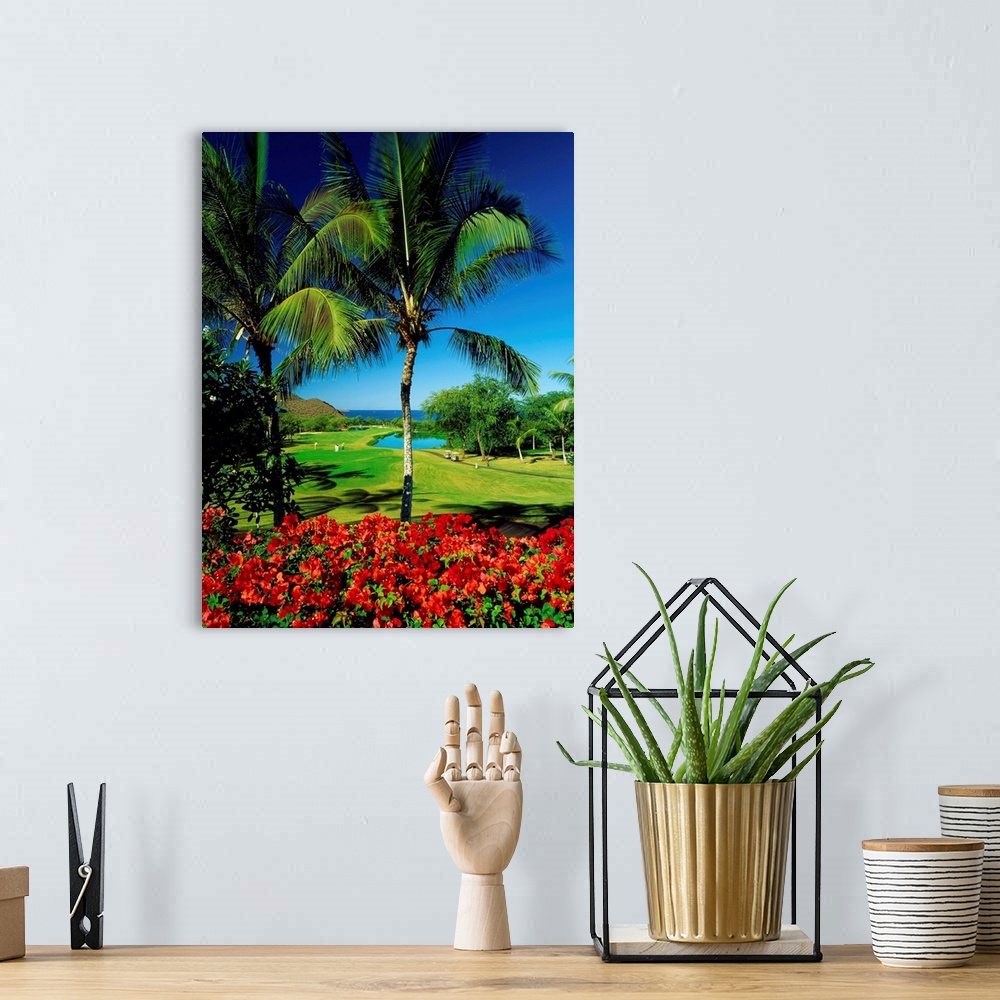 A bohemian room featuring United States, Hawaii, Maui island, Makena Golf Courses