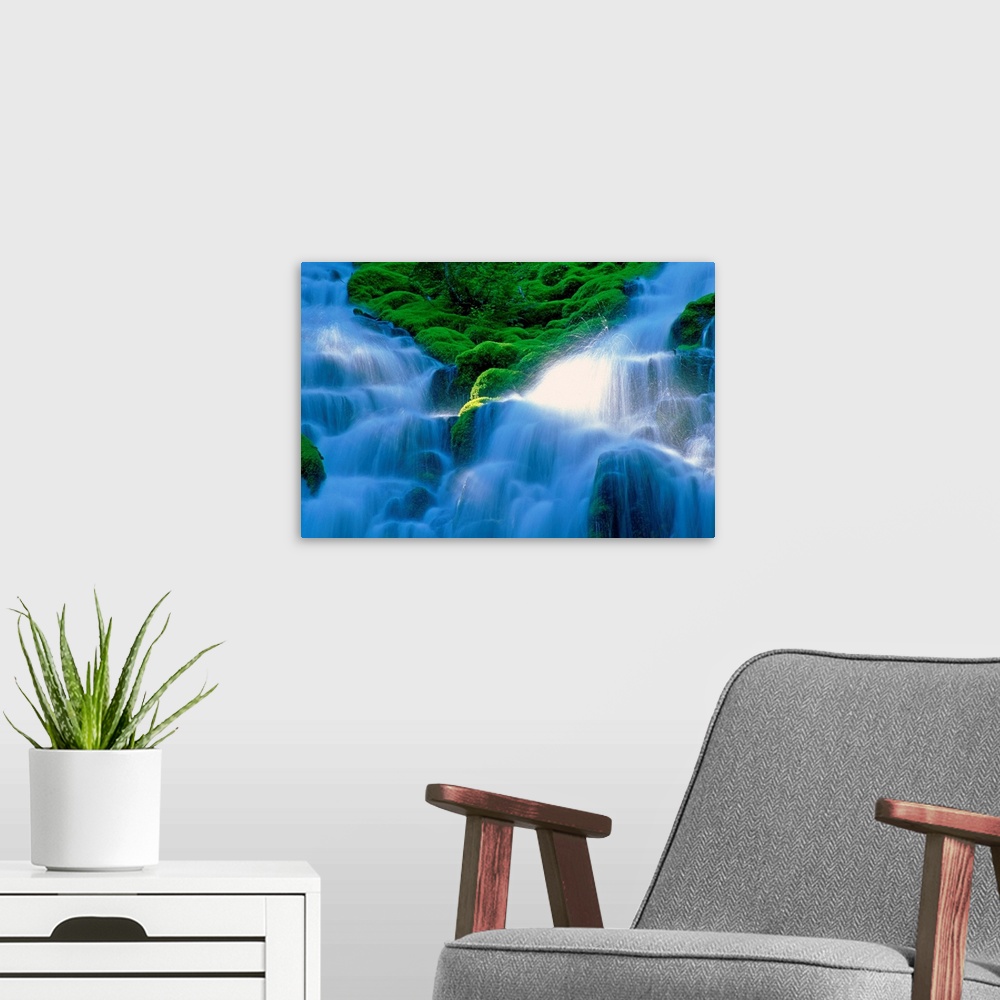 A modern room featuring United States, Oregon, Willamette National Forest, Proxy Falls