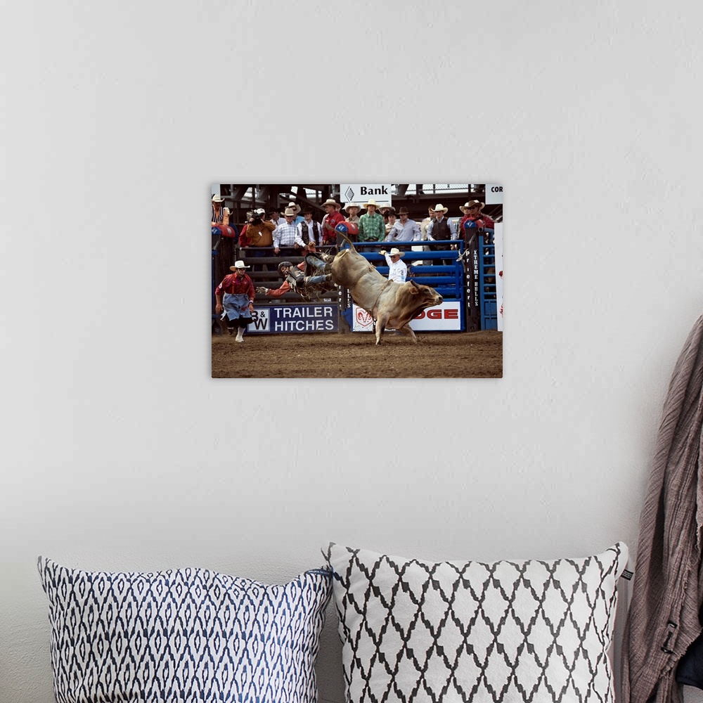 A bohemian room featuring United States, USA, Wyoming, Cody, Xtreme Bulls Rodeo