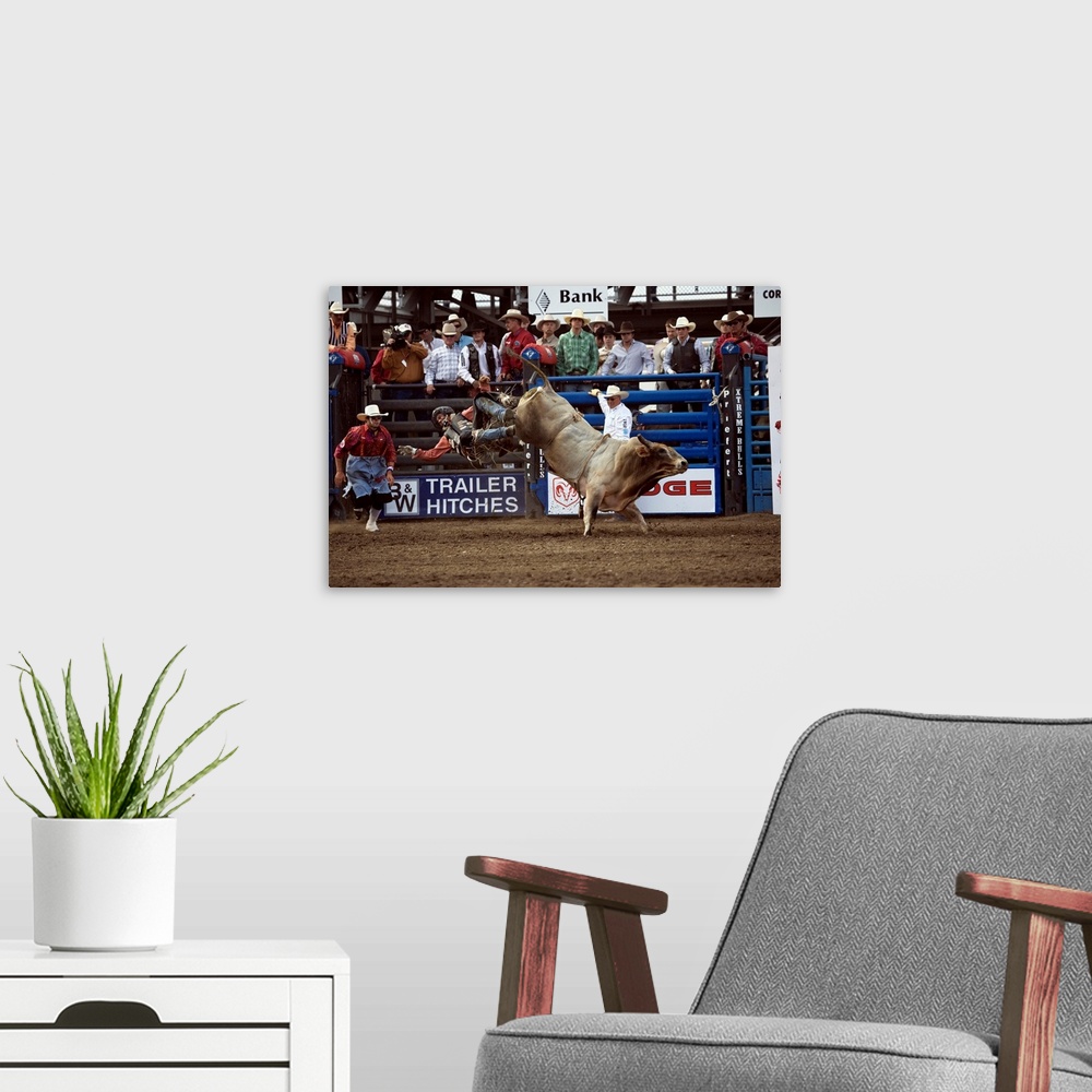 A modern room featuring United States, USA, Wyoming, Cody, Xtreme Bulls Rodeo