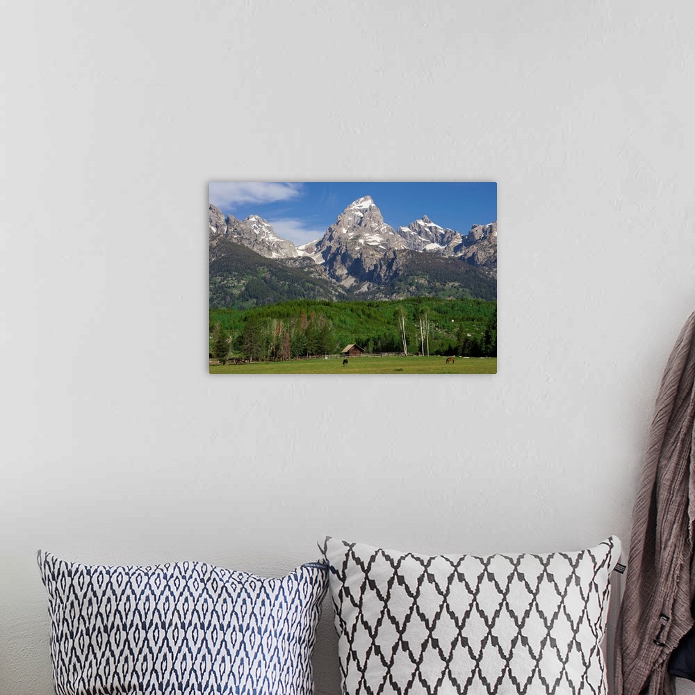 A bohemian room featuring United States, USA, Wyoming, Grand Teton National Park