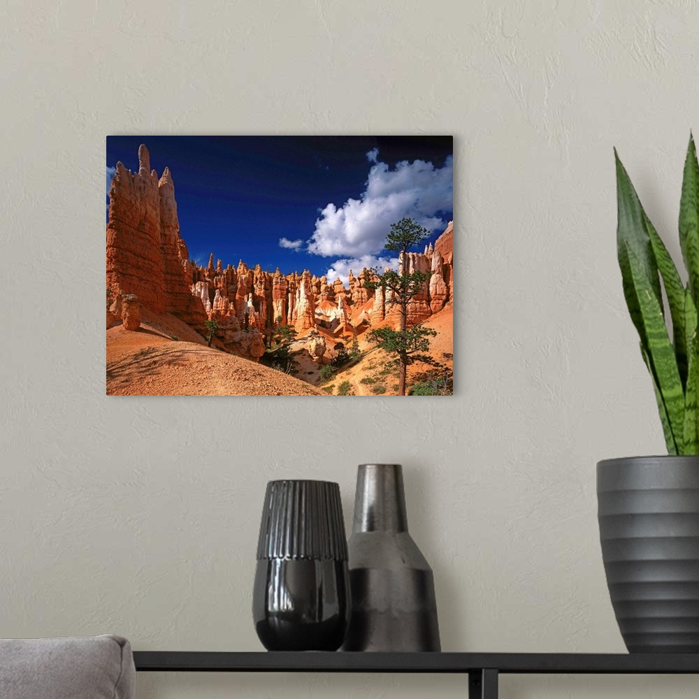 A modern room featuring United States, Utah, Bryce Canyon National Park, Queen's Garden