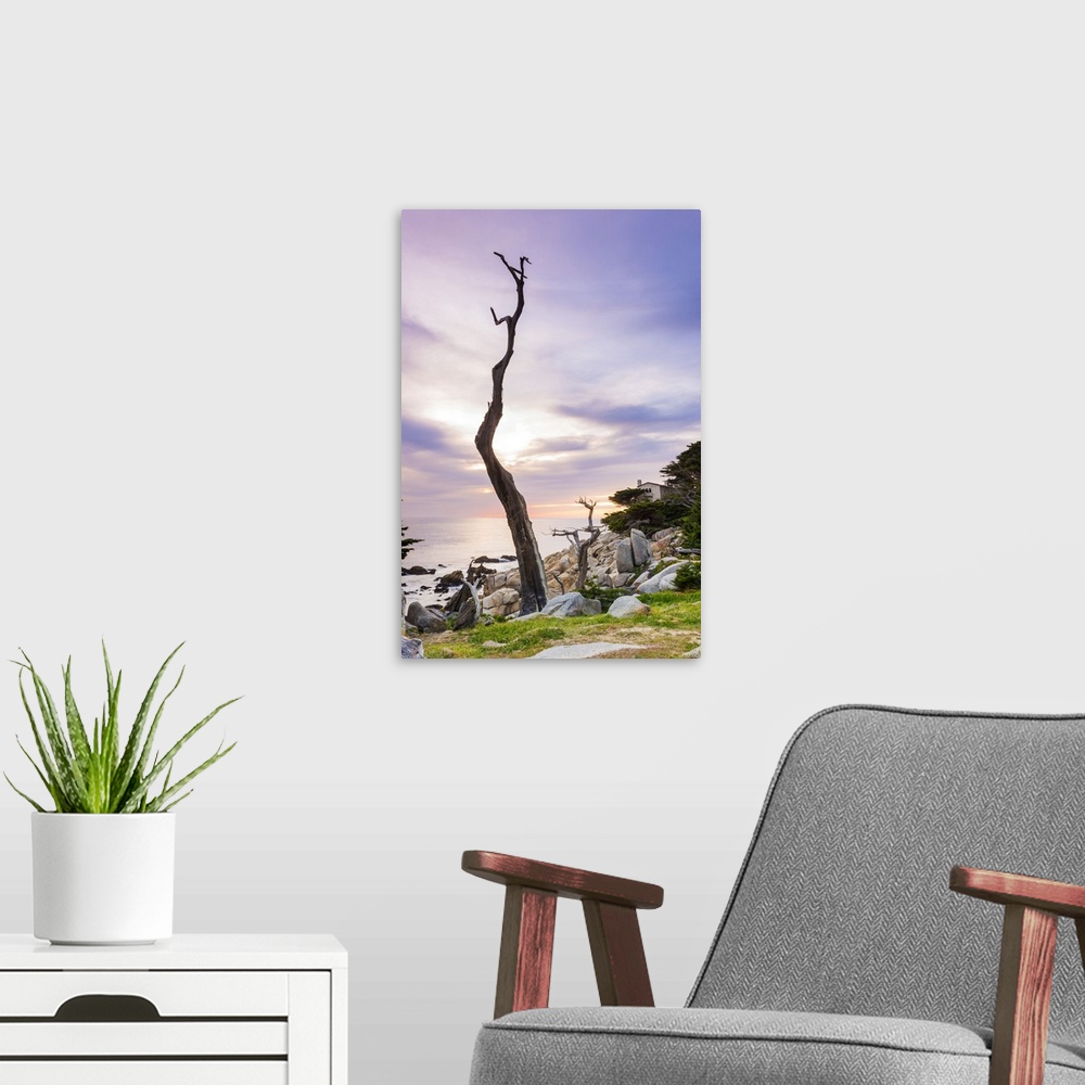 A modern room featuring USA, California, Monterey Peninsula, Carmel, Ghost trees on 17 mile drive