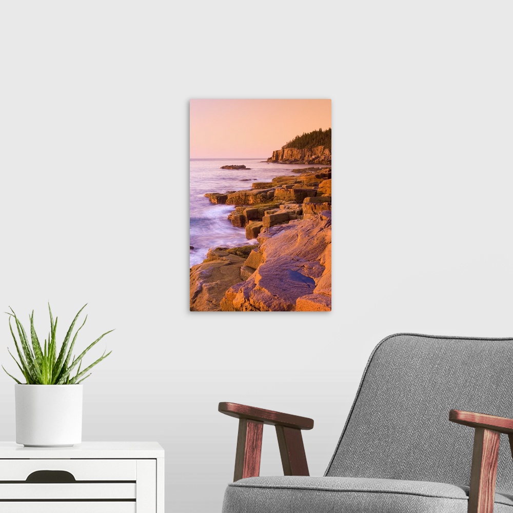 A modern room featuring USA, Maine, Mount Desert Island, Otter Cliffs at dawn