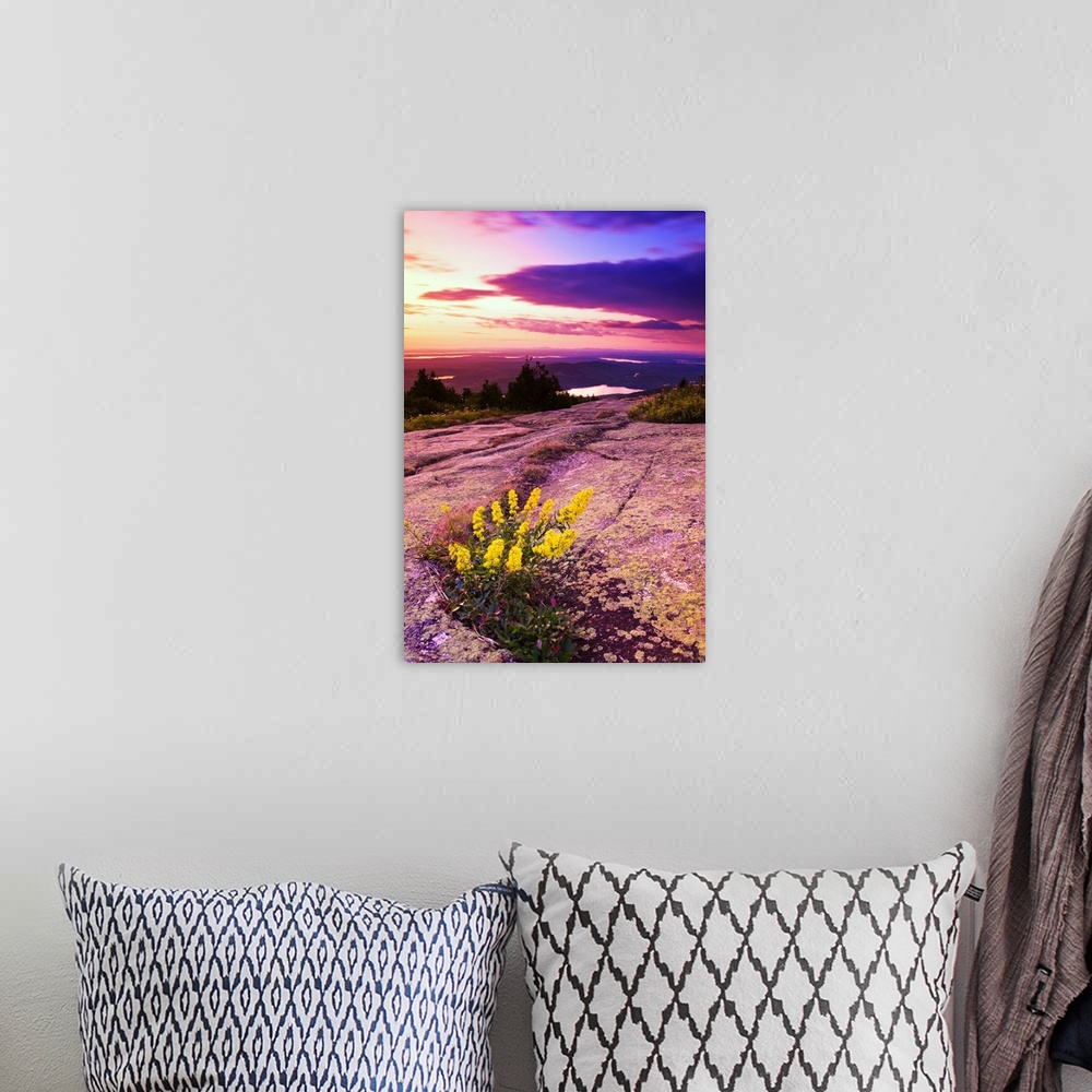 A bohemian room featuring USA, Maine, Mount Desert Island, Sunset at Cadillac Mountain