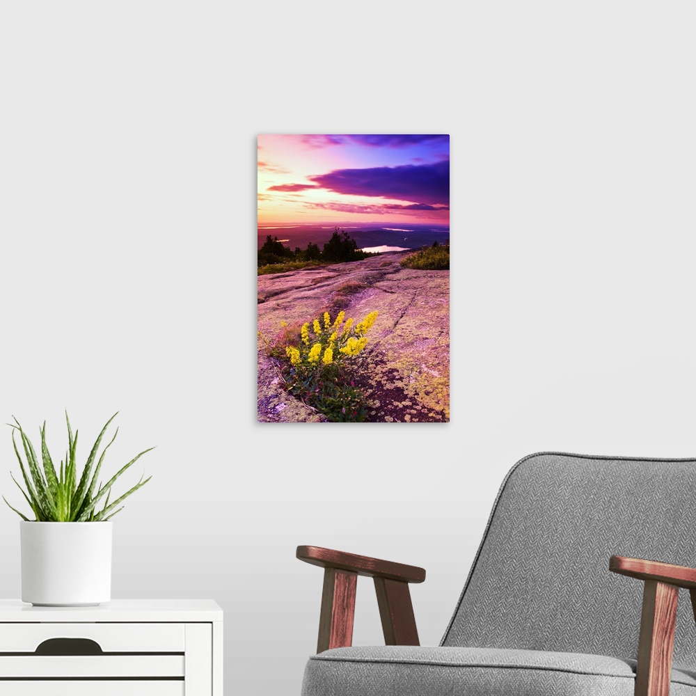 A modern room featuring USA, Maine, Mount Desert Island, Sunset at Cadillac Mountain