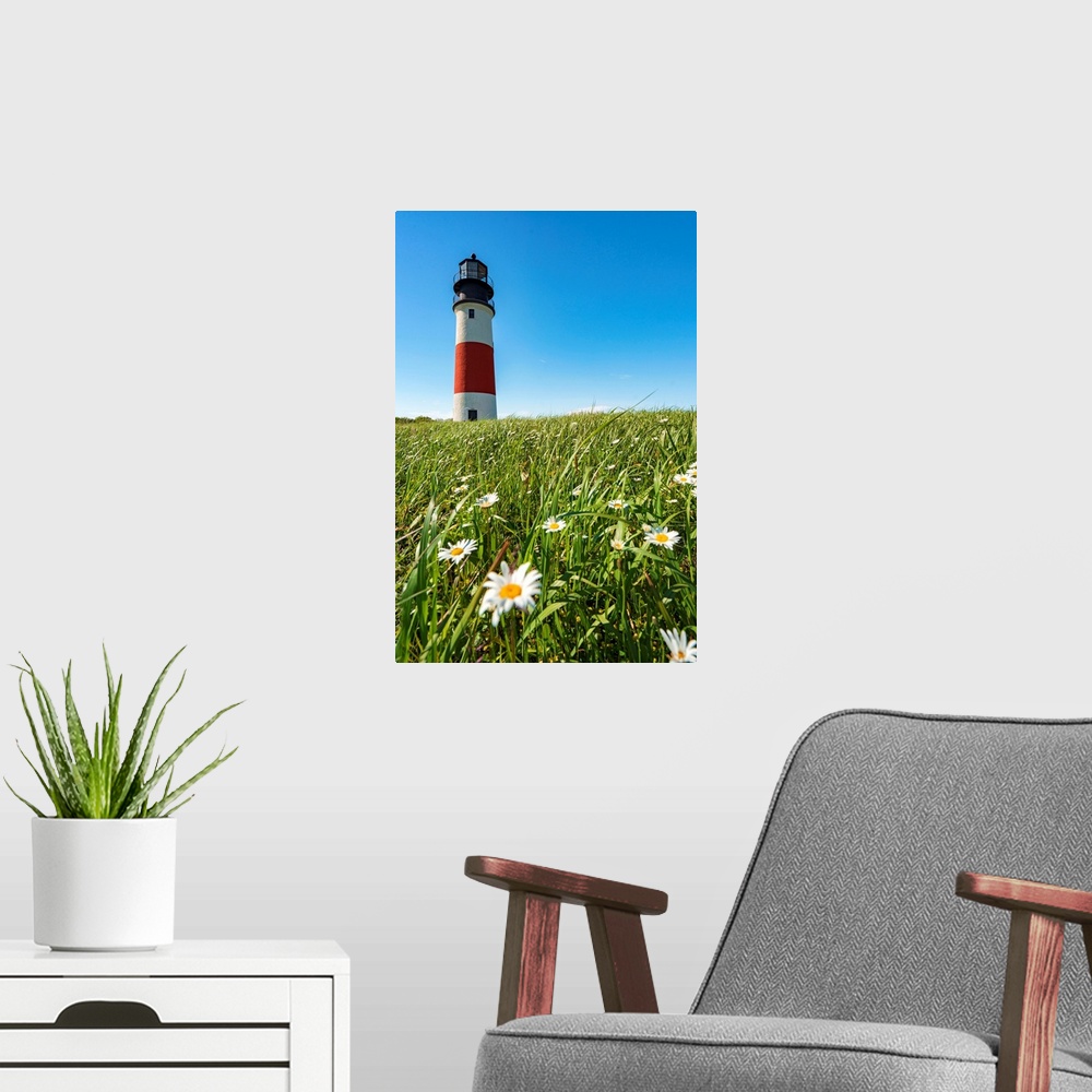 A modern room featuring USA, Nantucket, Massachusetts, Daisies on the grass next to Sankaty Head light.