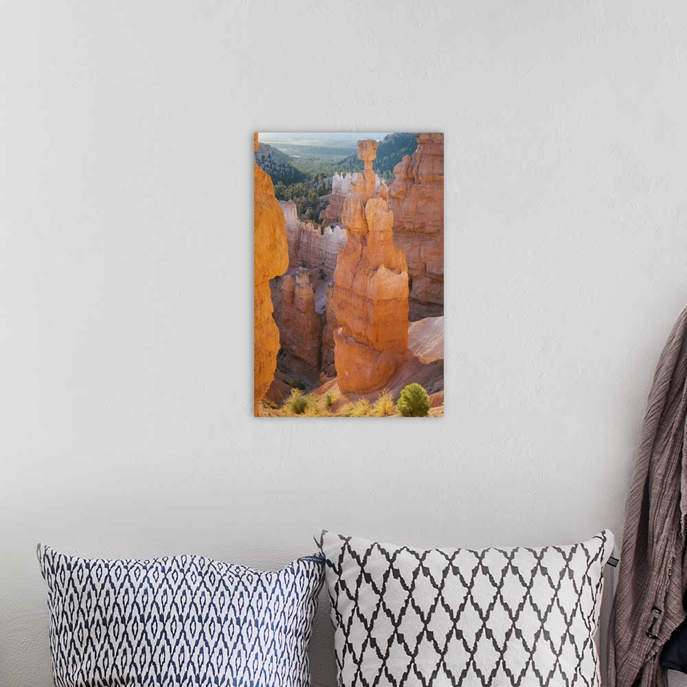 A bohemian room featuring USA, Utah, Bryce Canyon National Park, Sunrise at Thor's Hammer.
