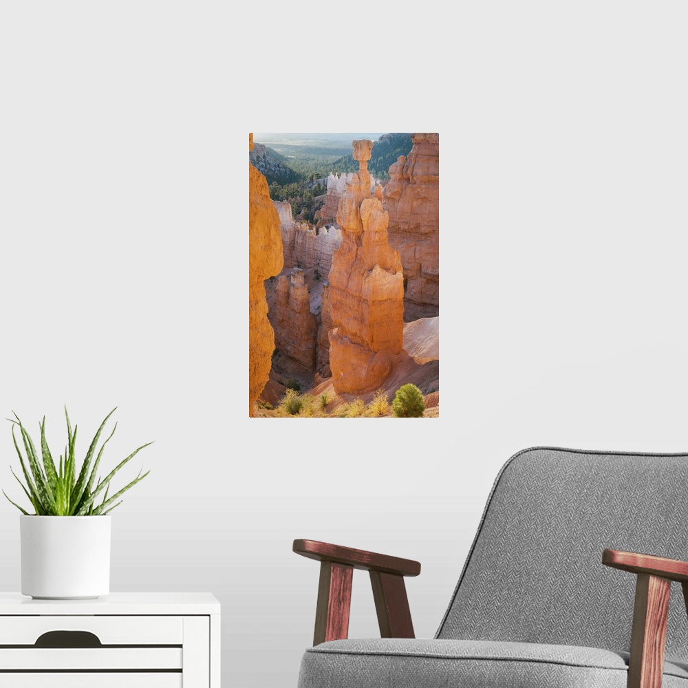 A modern room featuring USA, Utah, Bryce Canyon National Park, Sunrise at Thor's Hammer.
