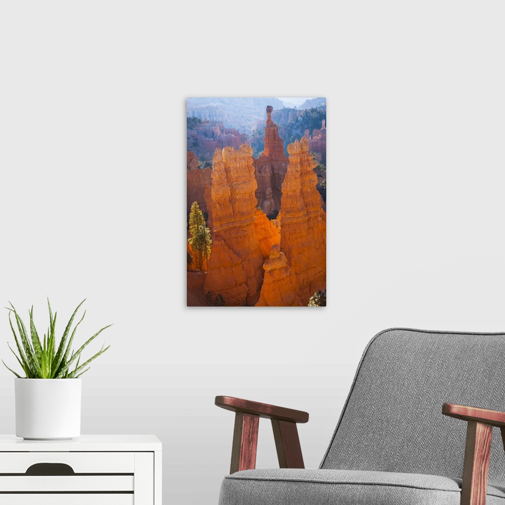 A modern room featuring USA, Utah, Bryce Canyon National Park, Thor's Hammer at sunrise.
