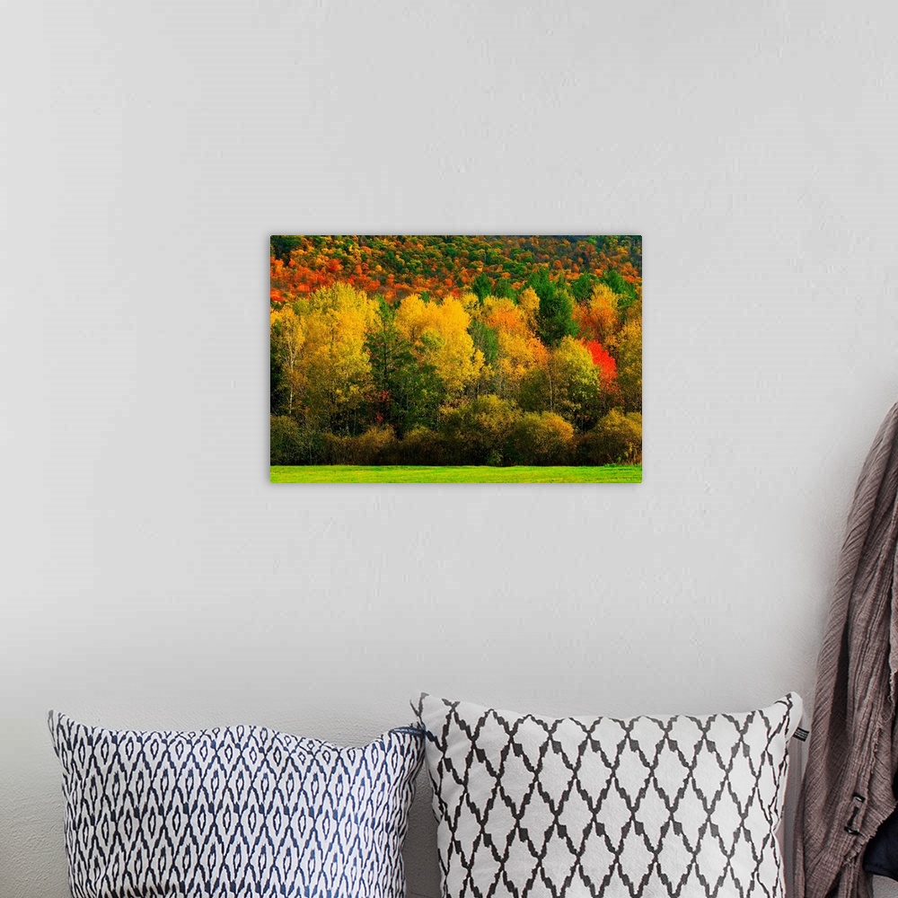 A bohemian room featuring USA, Vermont, Autumn foliage.