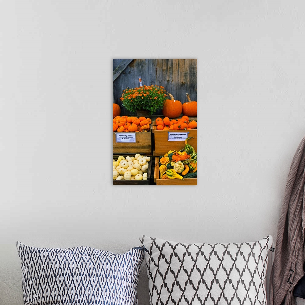 A bohemian room featuring Vermont, Woodstock, farmers market produce