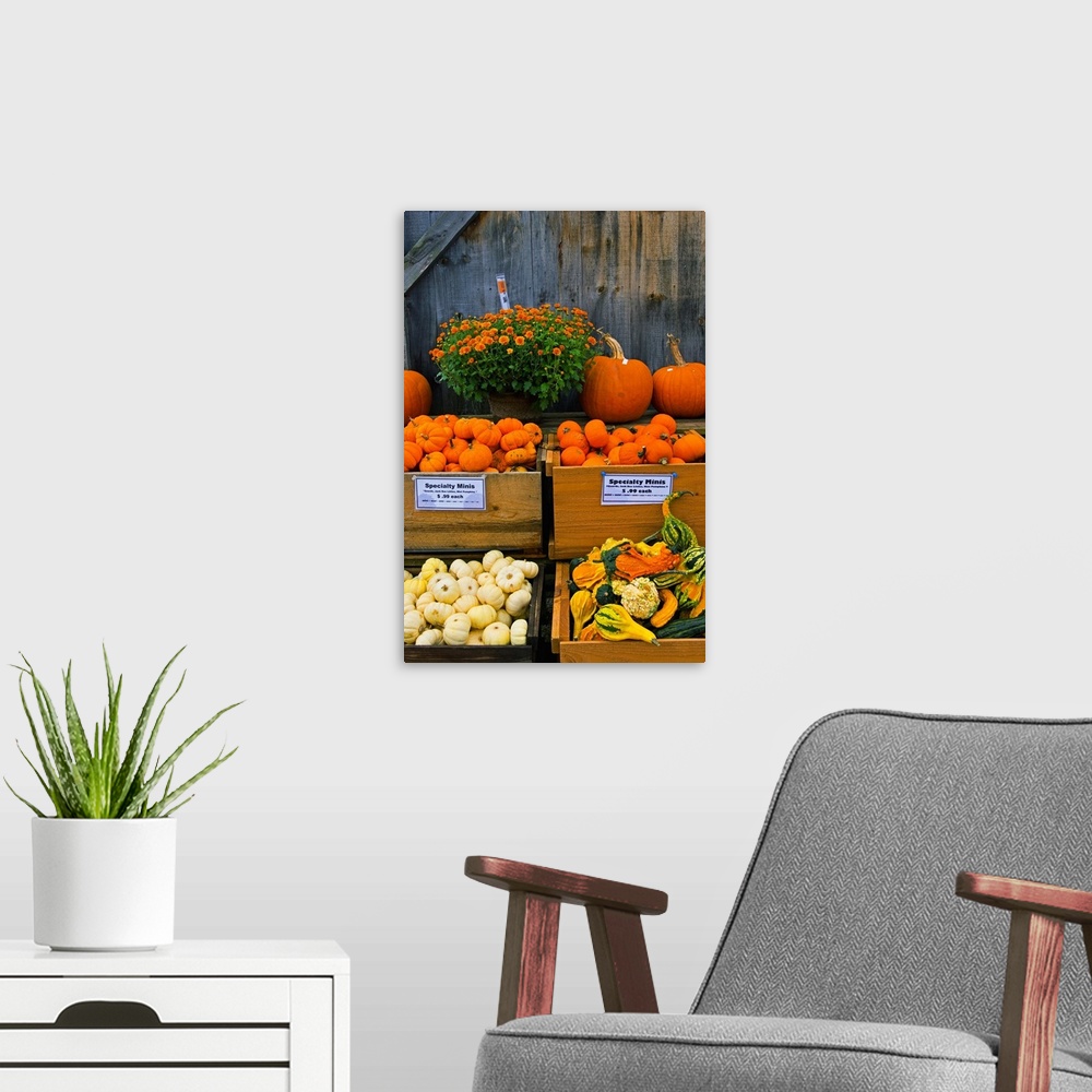 A modern room featuring Vermont, Woodstock, farmers market produce