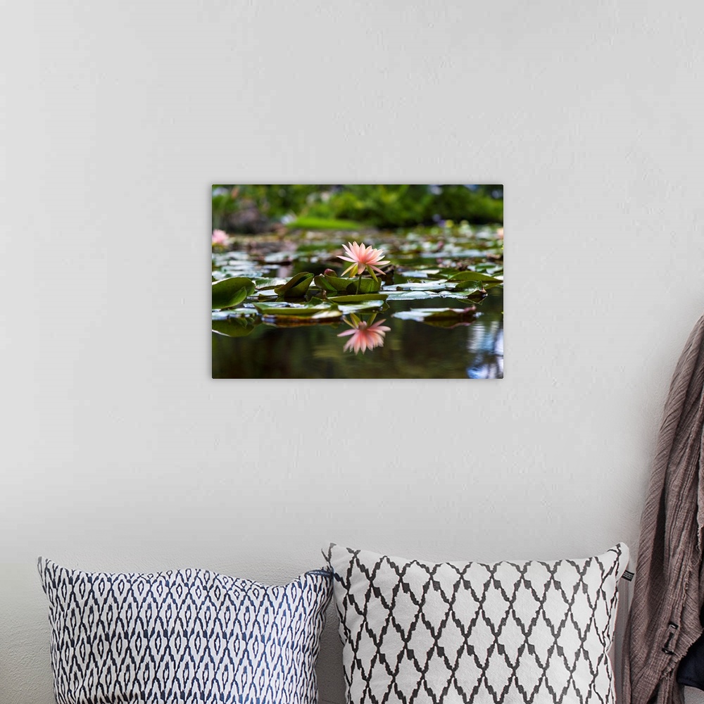 A bohemian room featuring Water Lily.