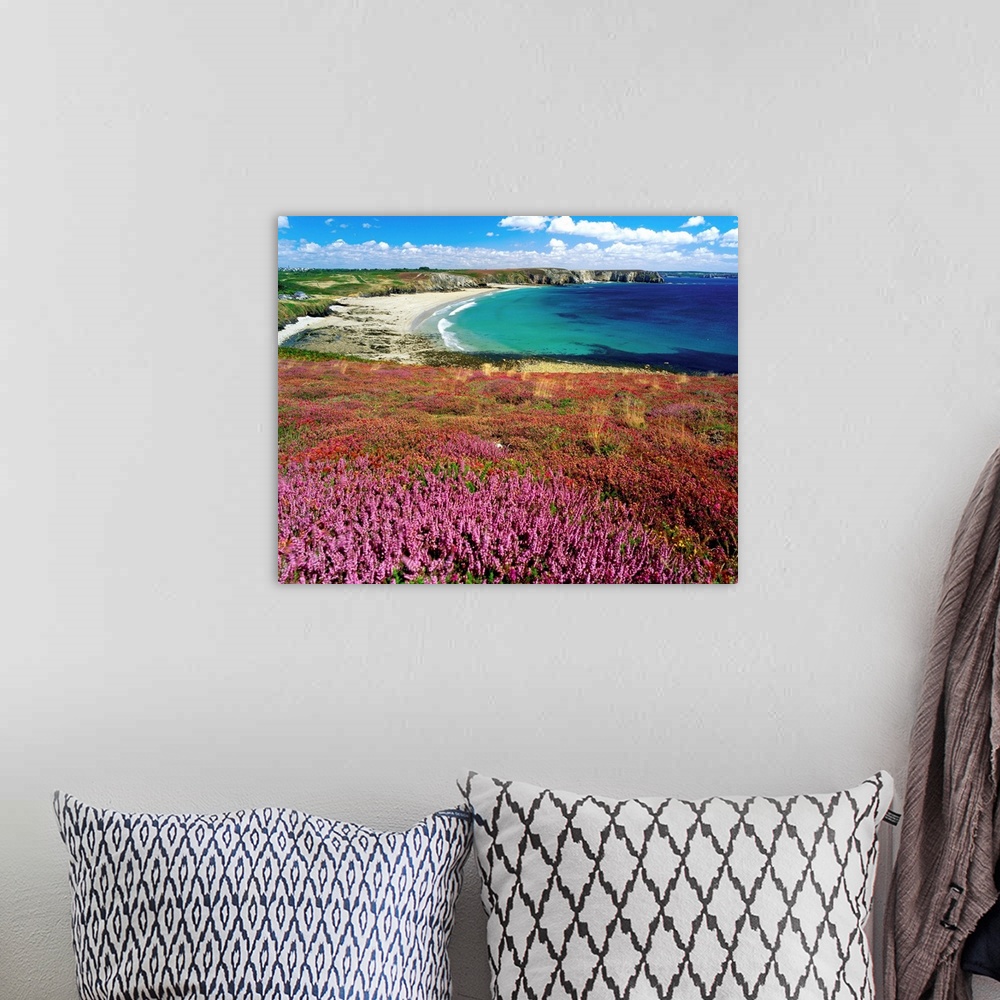 A bohemian room featuring Wildflower field by beach