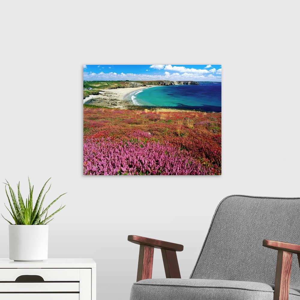 A modern room featuring Wildflower field by beach