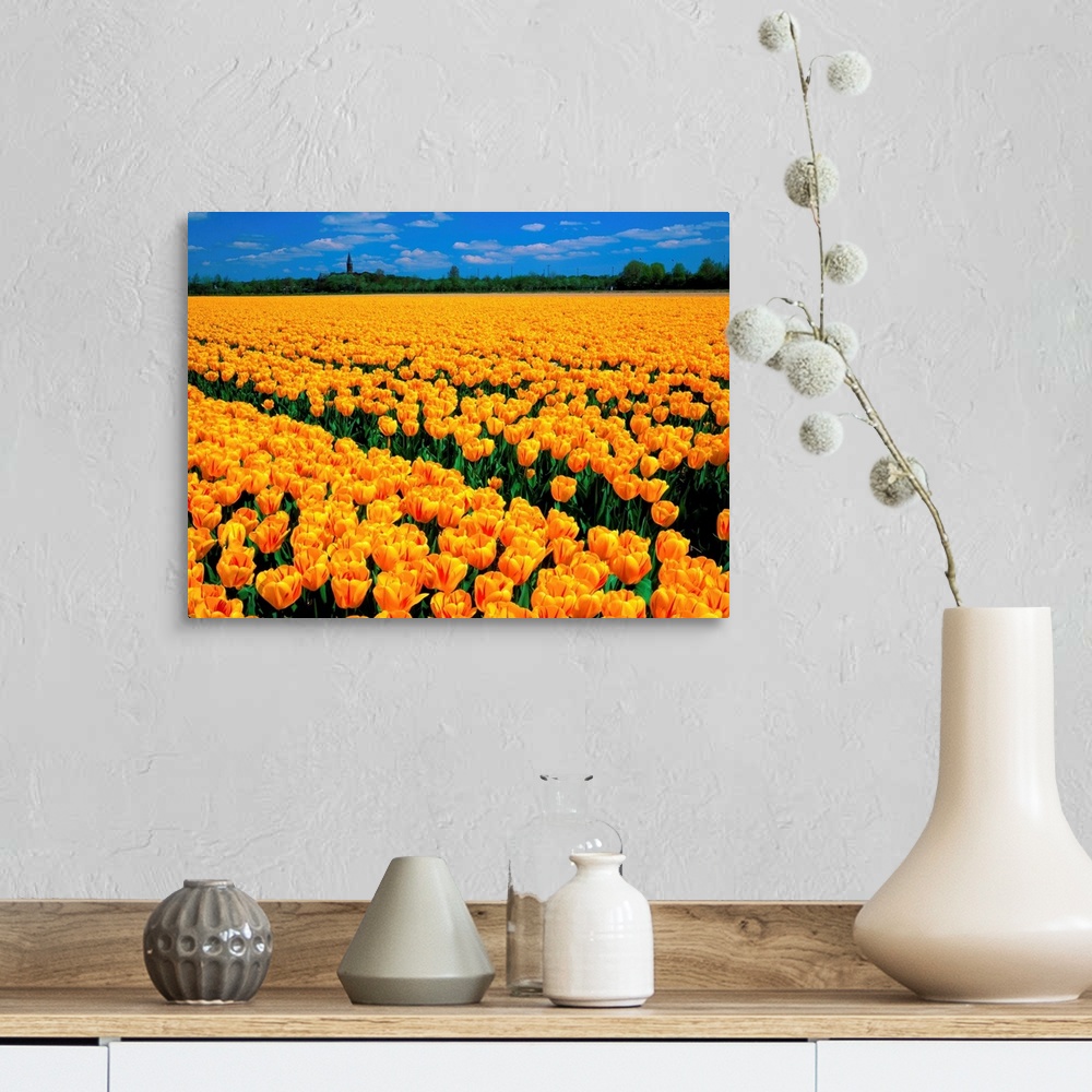 A farmhouse room featuring Yellow tulip field
