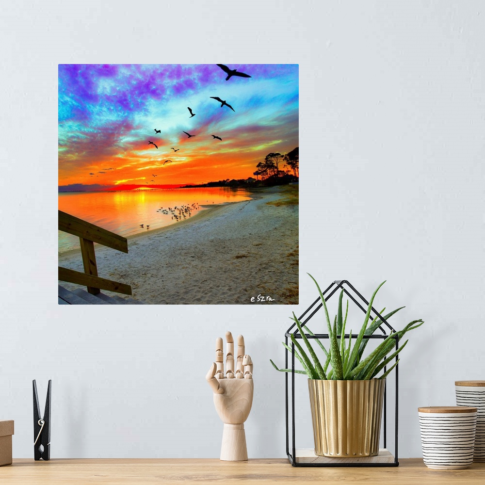 A bohemian room featuring An orange sunset with birds soaring and a bright sunset reflection.