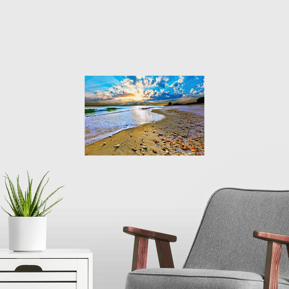 A modern room featuring A shell covered beach before an amazing beach sunset with shooting sun rays. Birds fly into the d...