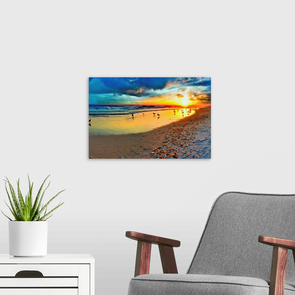 A modern room featuring Dark blue sunset landscape over a sandy shoreline. Birds play in the reseding surf. A trail of be...