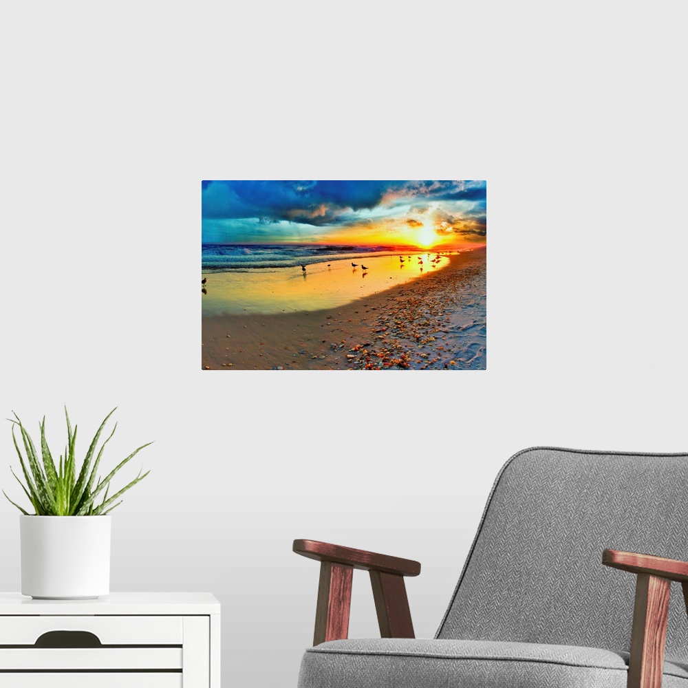 A modern room featuring Dark blue sunset landscape over a sandy shoreline. Birds play in the reseding surf. A trail of be...