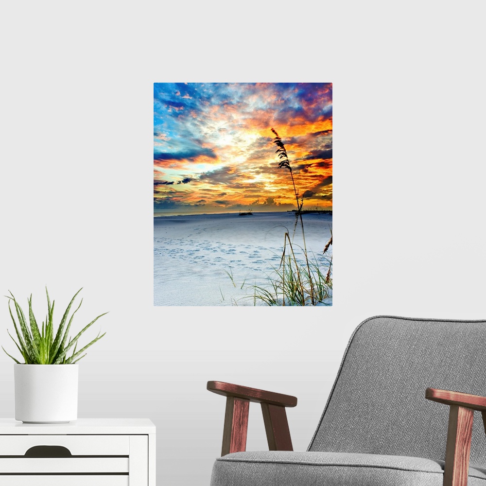 A modern room featuring Sea oats seen swaying in a breeze. Named Sky Fire for its sky set ablaze in dark red. Landscape t...