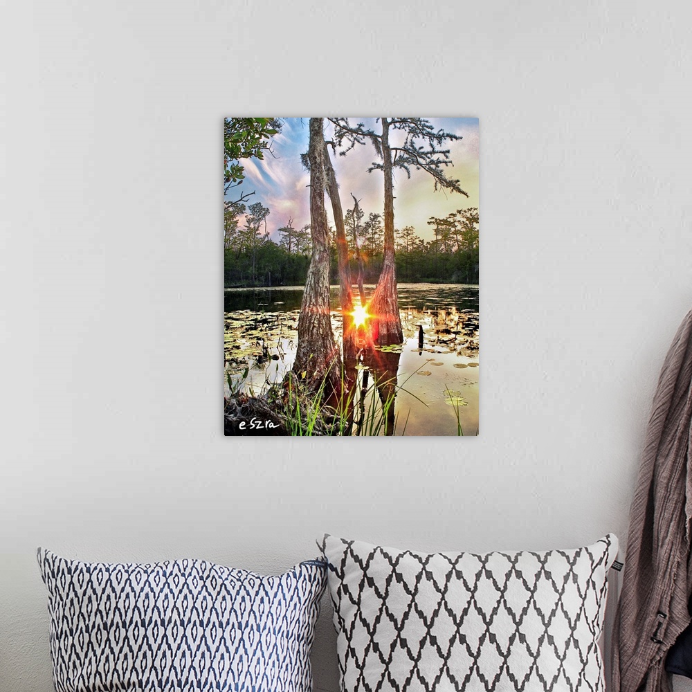 A bohemian room featuring A red sun reflected in a cypress tree swamp amidst lily pads.