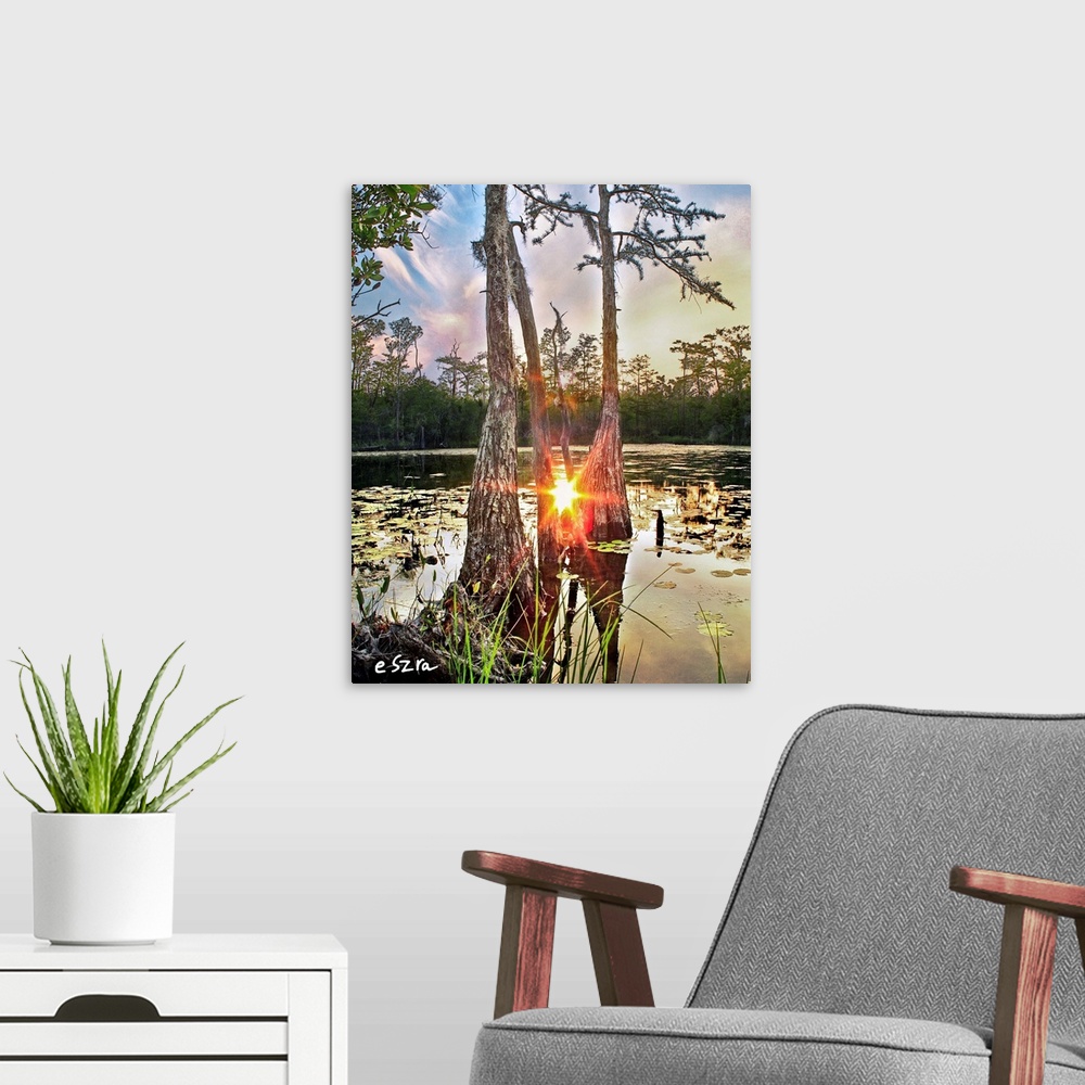 A modern room featuring A red sun reflected in a cypress tree swamp amidst lily pads.