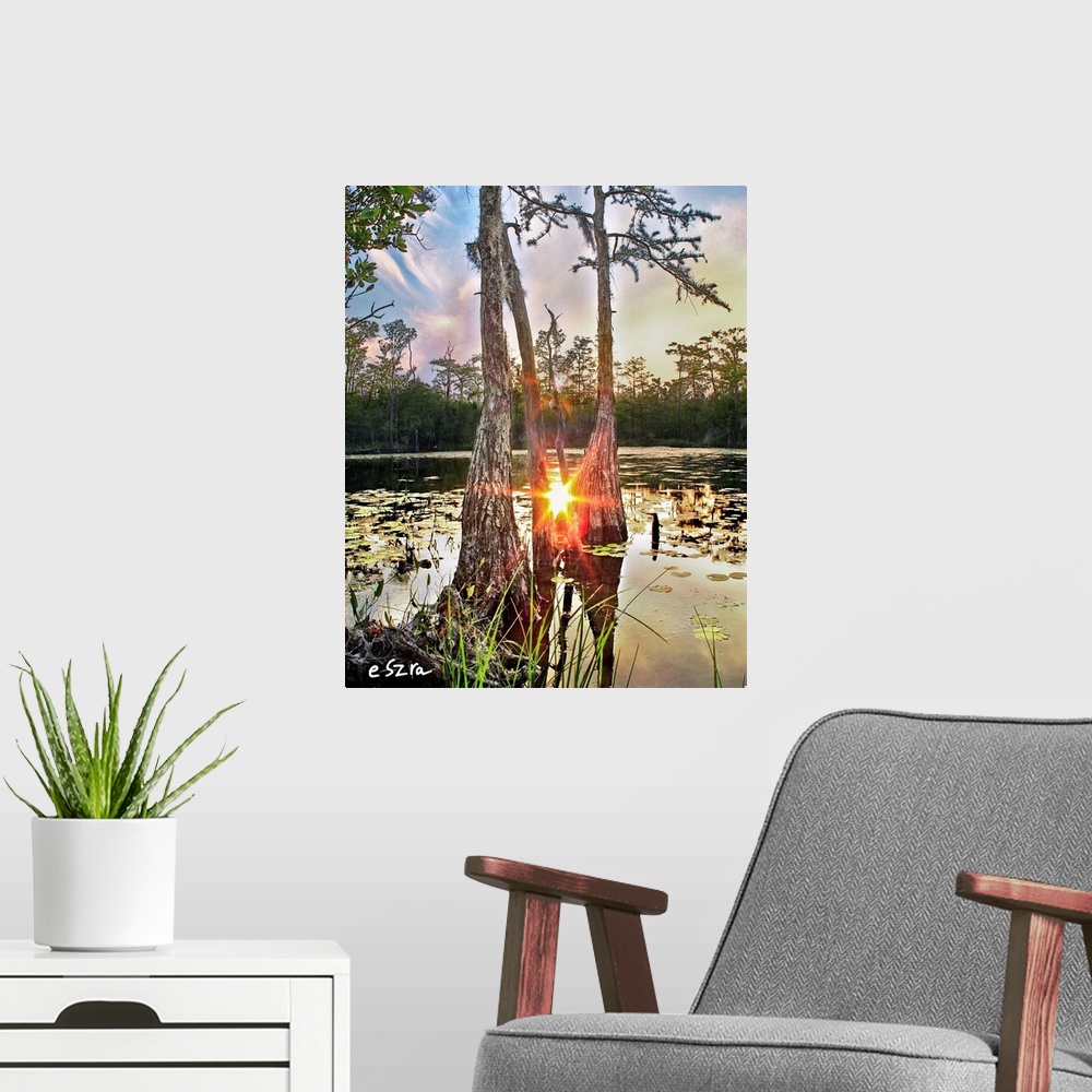 A modern room featuring A red sun reflected in a cypress tree swamp amidst lily pads.