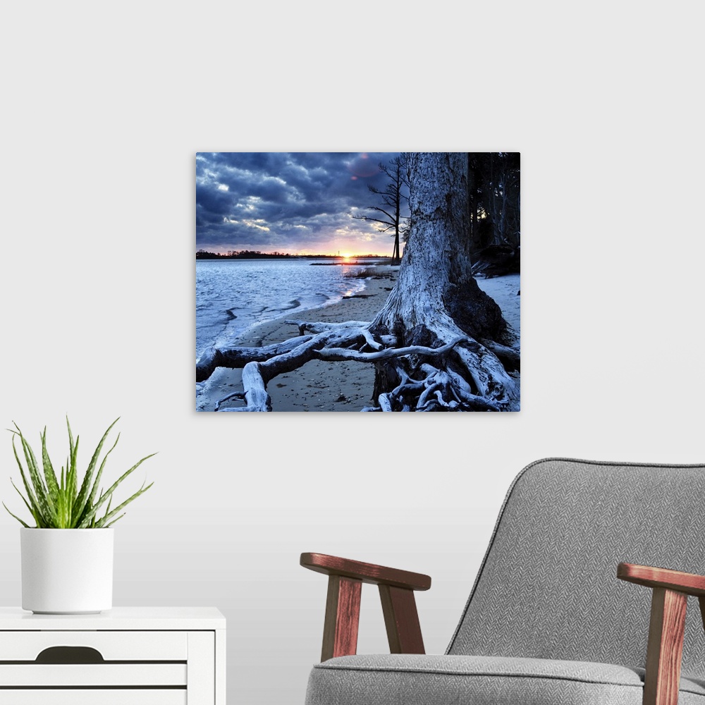 A modern room featuring Very cold and winter looking with the dark blue sunset over a Florida lake. The trees roots reach...